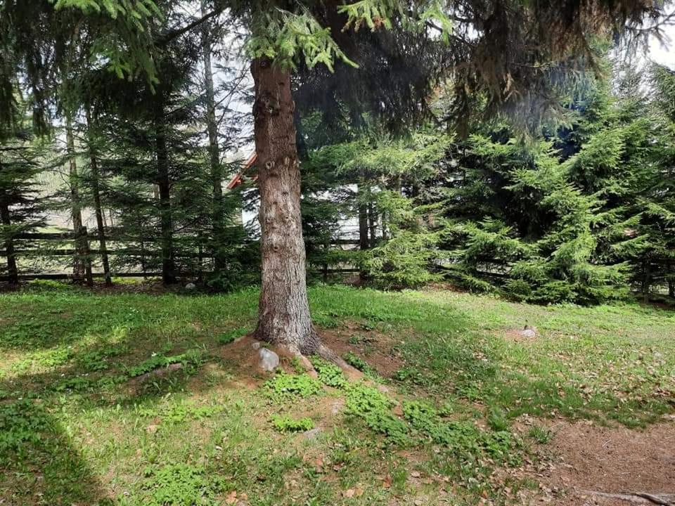 Piricske Pihenohaz Villa Ciceu Buitenkant foto