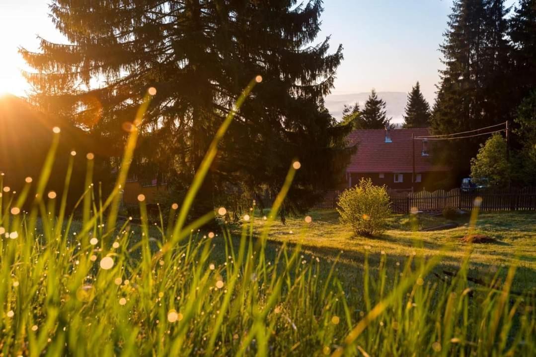 Piricske Pihenohaz Villa Ciceu Buitenkant foto