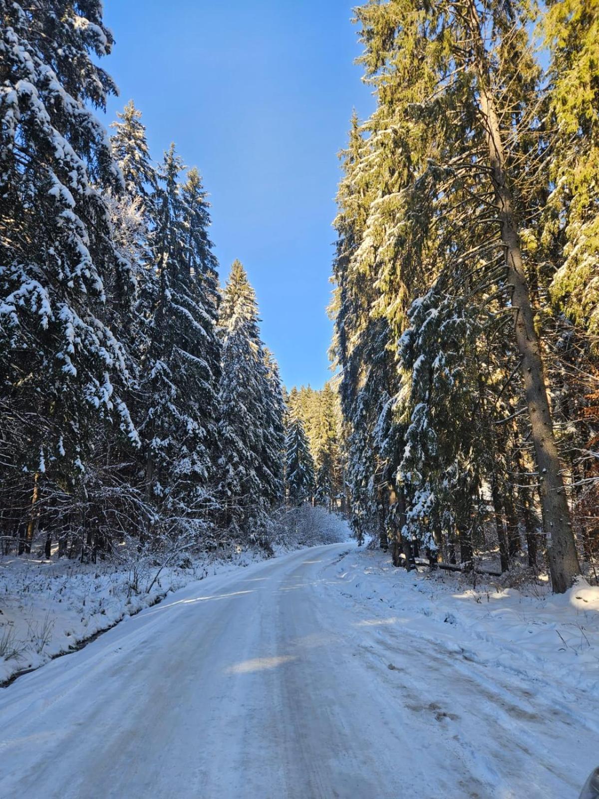 Piricske Pihenohaz Villa Ciceu Buitenkant foto